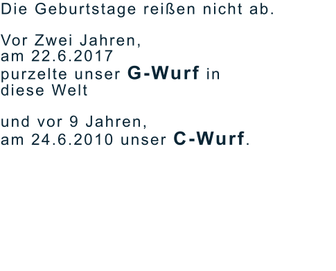 Die Geburtstage reißen nicht ab.   Vor Zwei Jahren, am 22.6.2017 purzelte unser G-Wurf in diese Welt  und vor 9 Jahren,  am 24.6.2010 unser C-Wurf.                 