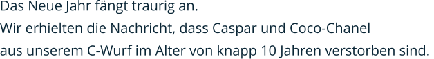 Das Neue Jahr fängt traurig an.  Wir erhielten die Nachricht, dass Caspar und Coco-Chanel  aus unserem C-Wurf im Alter von knapp 10 Jahren verstorben sind.