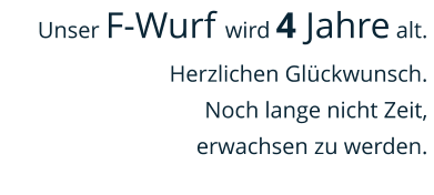 Unser F-Wurf wird 4 Jahre alt. Herzlichen Glückwunsch.  Noch lange nicht Zeit,  erwachsen zu werden.