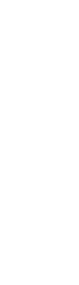 Was ist aus den Welpen unserer  verschiedenen Würfe geworden?   Hier ist  eine kleine Auswahl von Bildern.