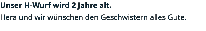 Unser H-Wurf wird 2 Jahre alt.  Hera und wir wünschen den Geschwistern alles Gute.