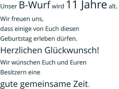 Unser B-Wurf wird 11 Jahre alt.  Wir freuen uns,  dass einige von Euch diesen  Geburtstag erleben dürfen.  Herzlichen Glückwunsch! Wir wünschen Euch und Euren  Besitzern eine  gute gemeinsame Zeit.