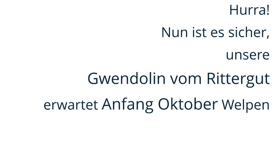 Hurra!  Nun ist es sicher,  unsere  Gwendolin vom Rittergut  erwartet Anfang Oktober Welpen