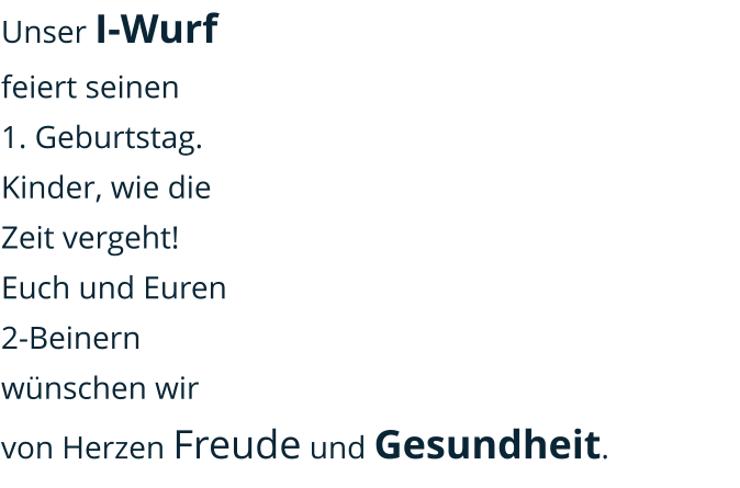 Unser I-Wurf  feiert seinen  1. Geburtstag. Kinder, wie die Zeit vergeht! Euch und Euren 2-Beinern  wünschen wir  von Herzen Freude und Gesundheit.