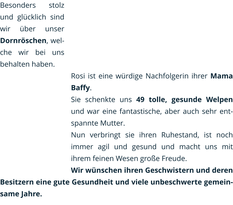 Besonders stolz und glücklich sind wir über unser Dornröschen, welche wir bei uns behalten haben.  Rosi ist eine würdige Nachfolgerin ihrer Mama Baffy. Sie schenkte uns 49 tolle, gesunde Welpen und war eine fantastische, aber auch sehr entspannte Mutter. Nun verbringt sie ihren Ruhestand, ist noch immer agil und gesund und macht uns mit ihrem feinen Wesen große Freude. Wir wünschen ihren Geschwistern und deren Besitzern eine gute Gesundheit und viele unbeschwerte gemeinsame Jahre.