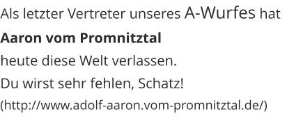 Als letzter Vertreter unseres A-Wurfes hat Aaron vom Promnitztal heute diese Welt verlassen. Du wirst sehr fehlen, Schatz! (http://www.adolf-aaron.vom-promnitztal.de/)