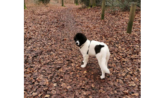 Ilse, genannt Nala