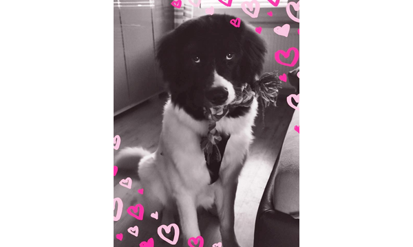 Ilse, genannt Nala