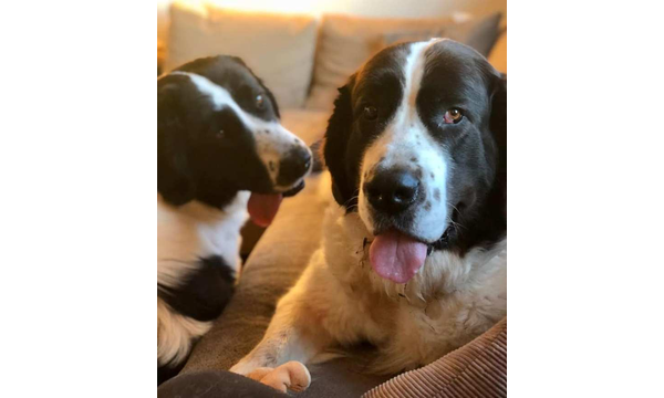 Rosi + Hera