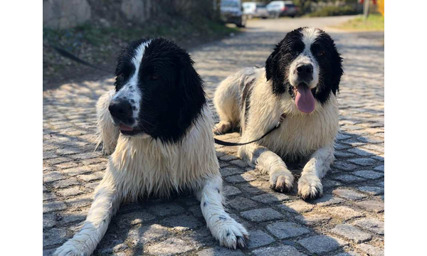 Essi + Hera