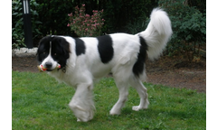 Carl-Gustav