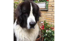 Enzo(Eckhard)