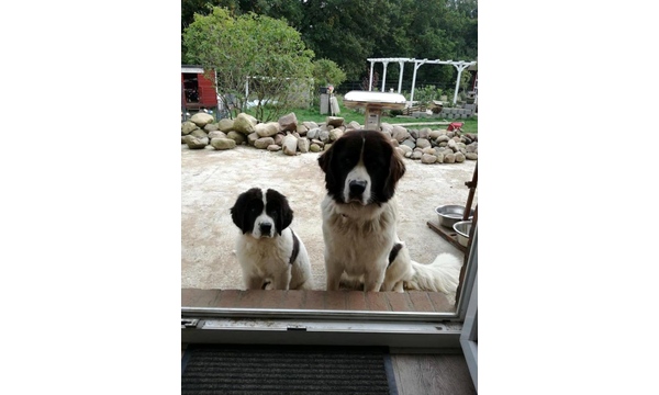 Flora+Gabby