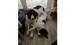 Flora+Gabby