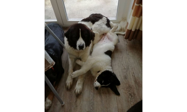 Flora+Gabby