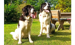 Freya+Jimmy(Hero)