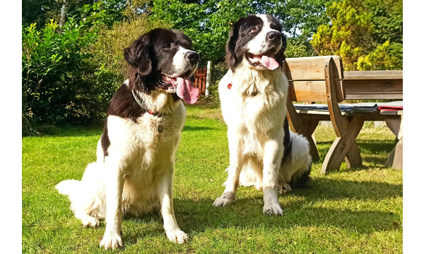 Freya+Jimmy(Hero)