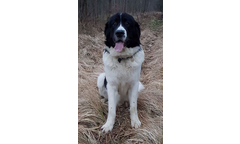 Ludvig(Finn)