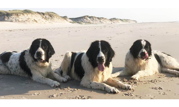 Rosi+Hera+Esmeralda