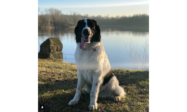 Hera