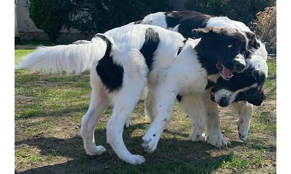 Jack+Mama