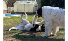 Jack+Rosi