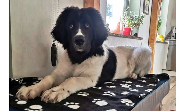 Jack