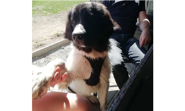 Jack