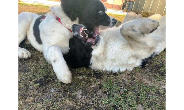 Jussi+Hera