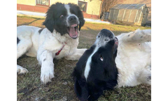 Jussi+Hera