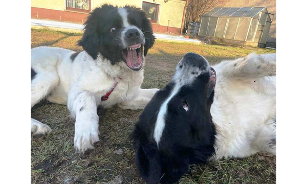 Jussi+Hera
