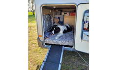 Jussi im Urlaub
