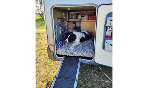 Jussi im Urlaub
