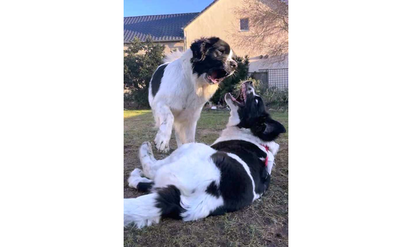 Jusssi+Mama