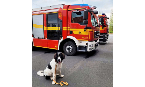 Jack im Einsatz