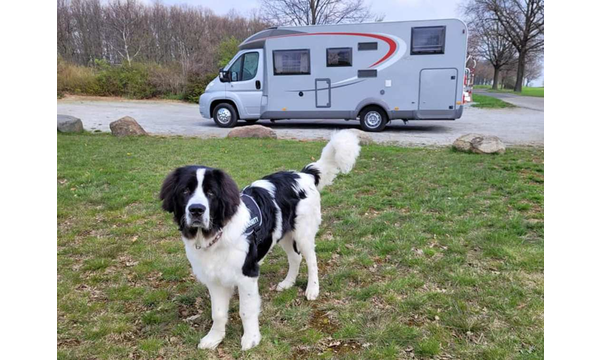 Jussi im Urlaub