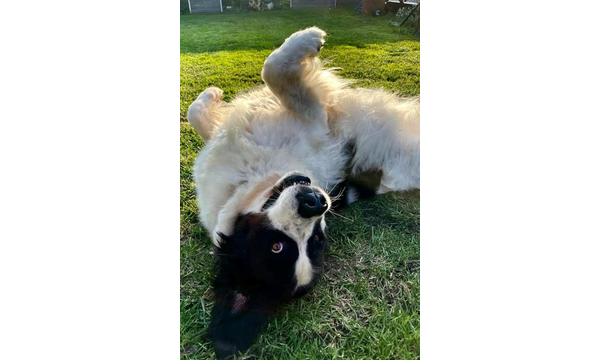 Esmeralda