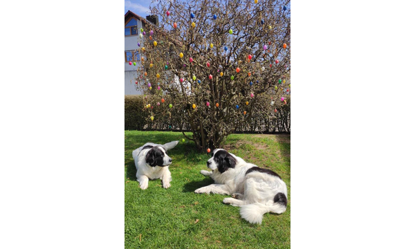 Fee und Kumpelchen Hugo