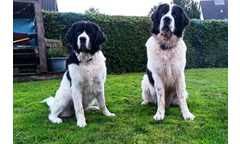 Freya und Jimmy (Hero)