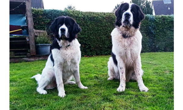 Freya und Jimmy (Hero)