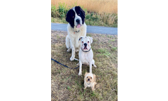 Hero, genannt Jimmy und Friends