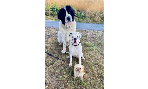 Hero, genannt Jimmy und Friends