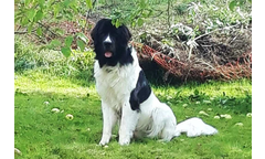 Jack