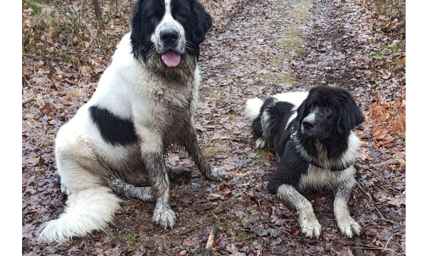 Jimmy (Hero) und Flocke (Jane)
