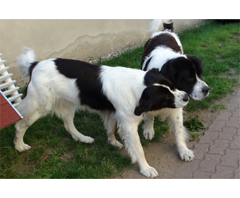 Gwenny und Aaron