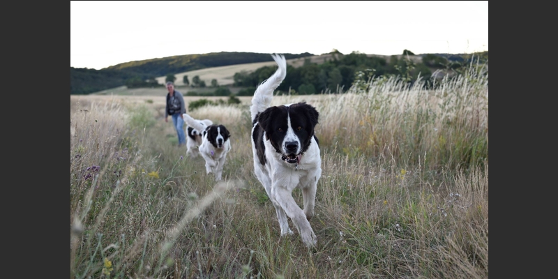 Fanny und Heidi