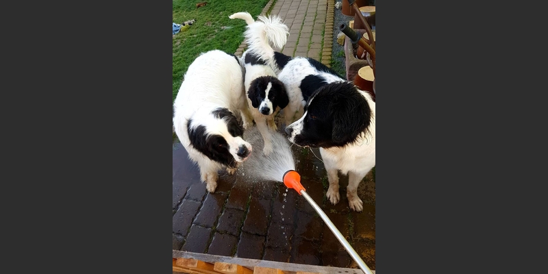 Fanny und Heidi