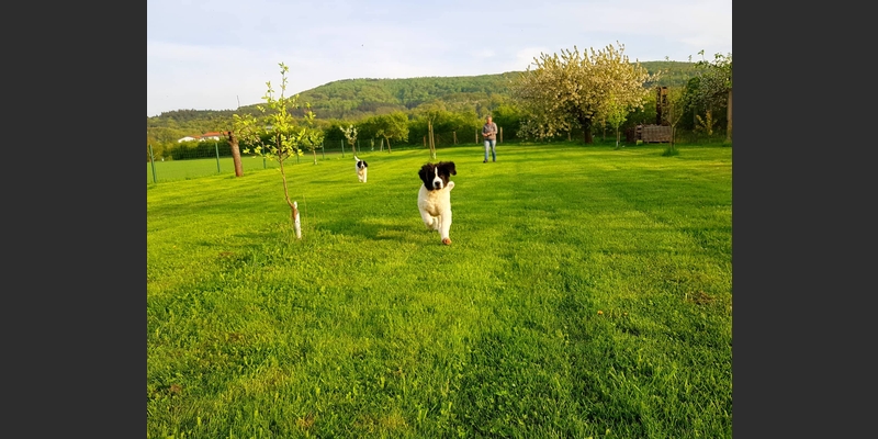 Fanny und Heidi