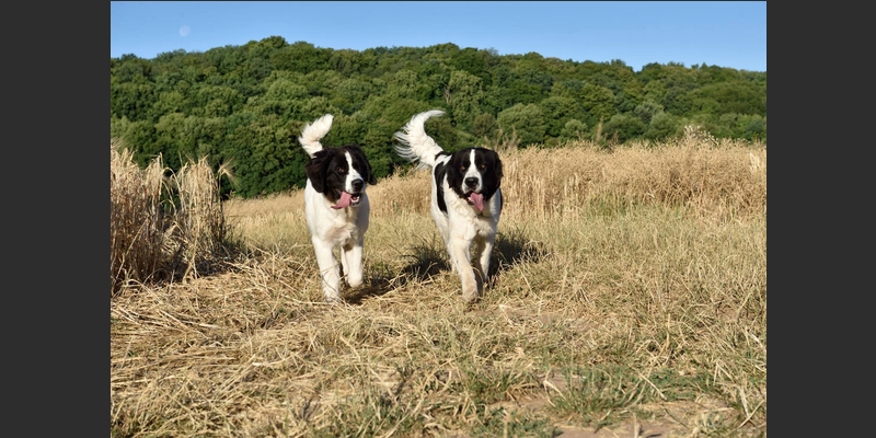 Fanny und Heidi