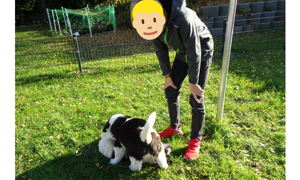 07 (2)